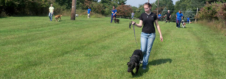 Animal Shelter Volunteer For 13 Year Olds Near Me