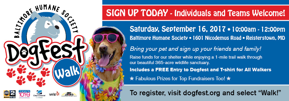 Baltimore Humane Society | A private non-profit no-kill shelter in ...