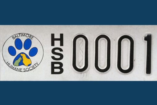 Close up of BHS license plate