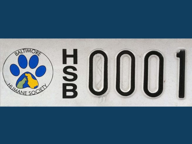 Close up of BHS license plate