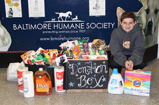 Young boy kneeling in front of donation box full of pet and cleaning supplies