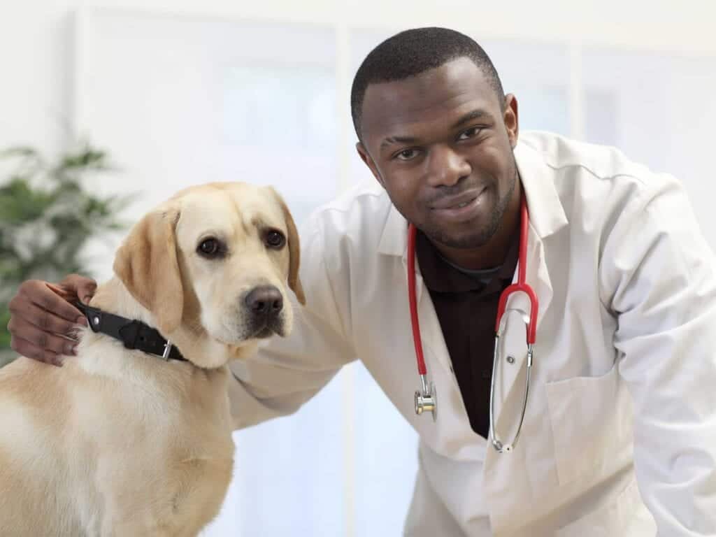 African American vet in lab coat standing next to yellow Lab