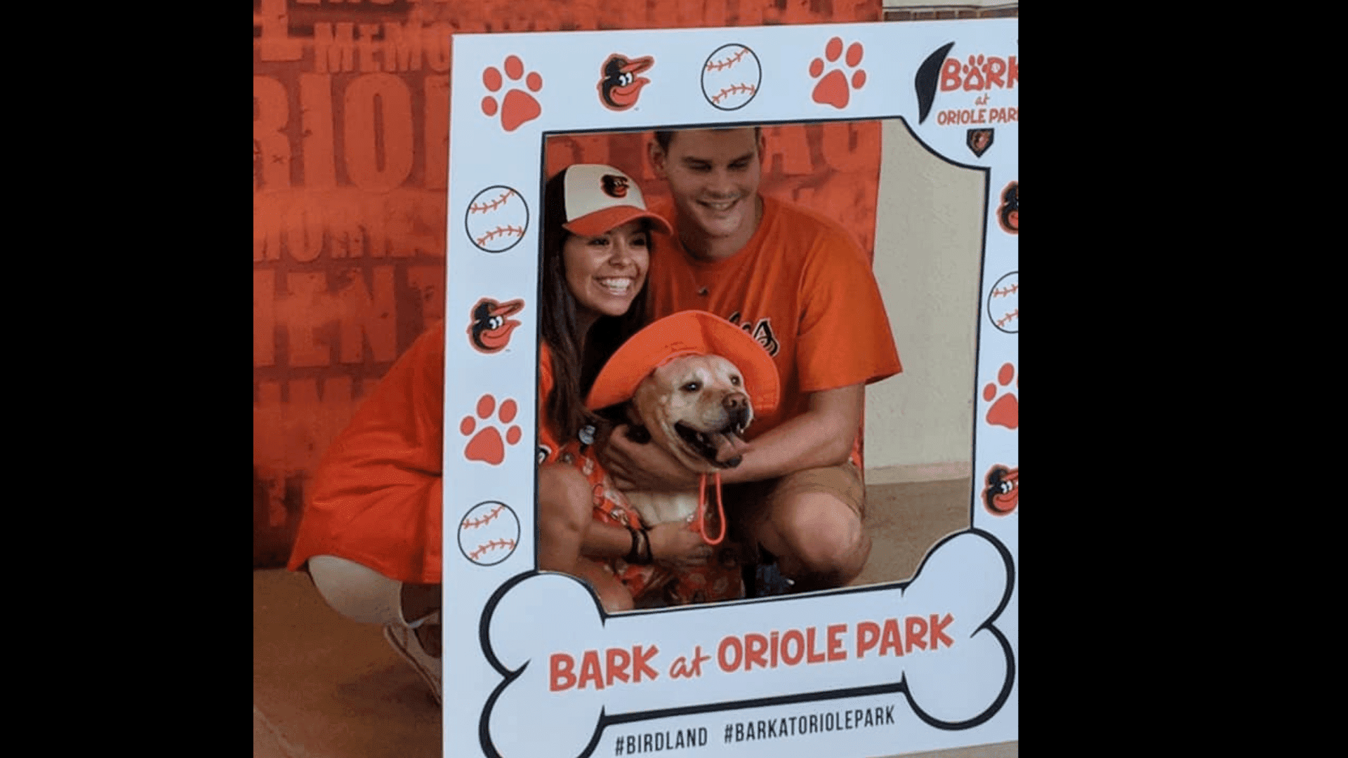 Bark at Oriole Park 2023 - Baltimore Humane Society